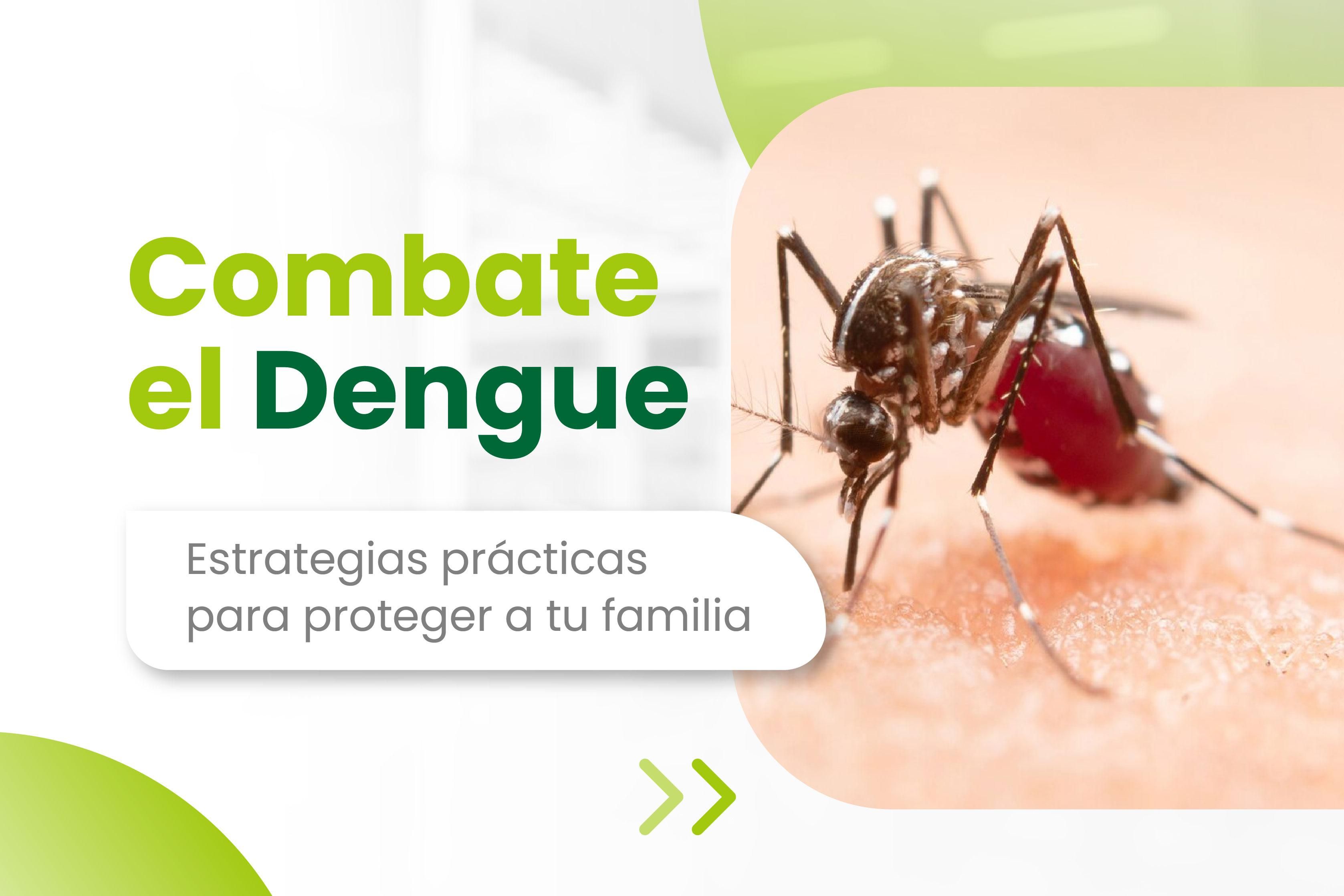 Combate el Dengue: estrategias prácticas para proteger a tu familia