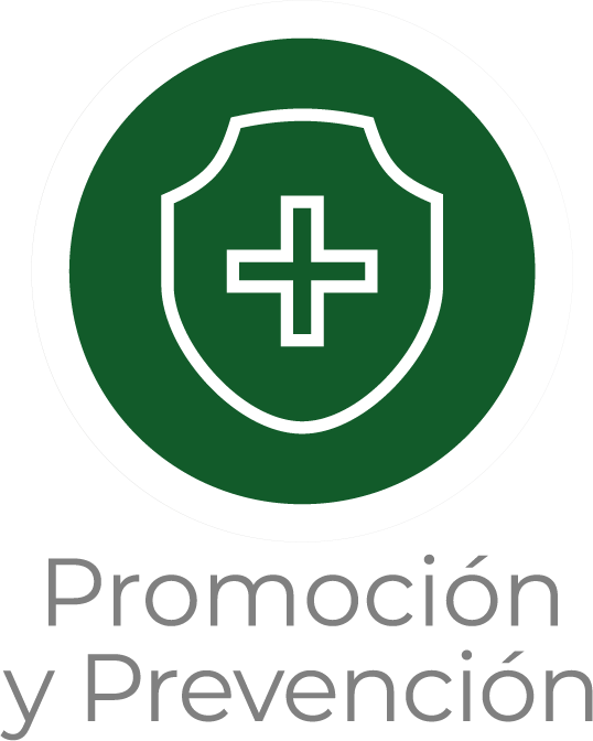 Promocion_y_prevencion.png