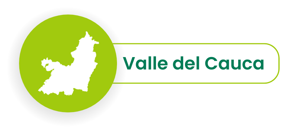 Validación de derechos de afiliados