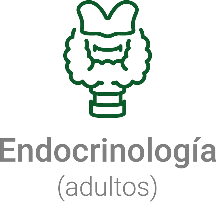 Icono endocrinologia