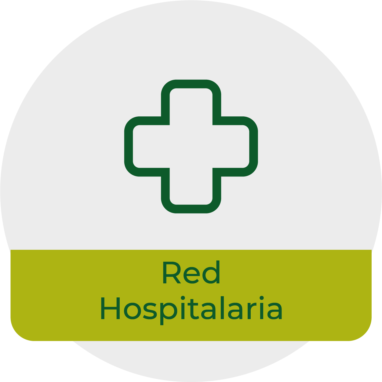Icono red hospitalaria